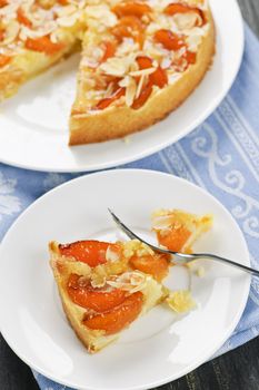 Slice of fresh baked apricot and almond pie dessert