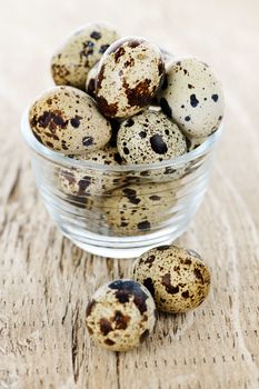 Many small brown spotted quail eggs in bowl