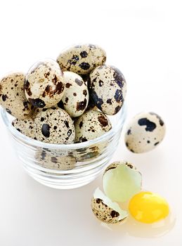Many small speckled quail eggs with one broken egg