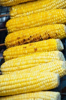 Grilled yellow corn