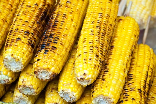 Grilled yellow corn