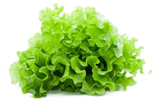 Fresh green Lettuce salad on white isolated background