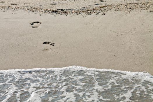 Footsteps of a man coming out of the sea.