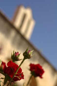 The rose and the church, in a wedding.