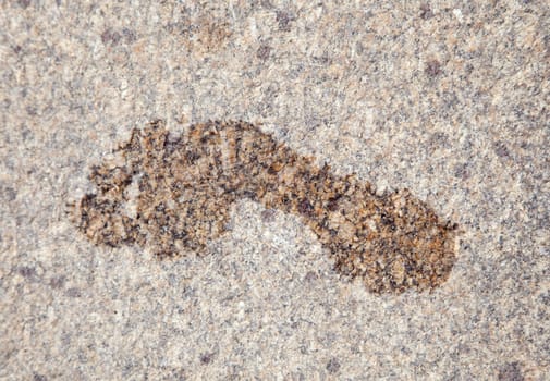 Wet print of bare foot on granite