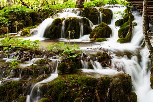 Forest waterfall in Plitvice Lakes National Park, Croatia