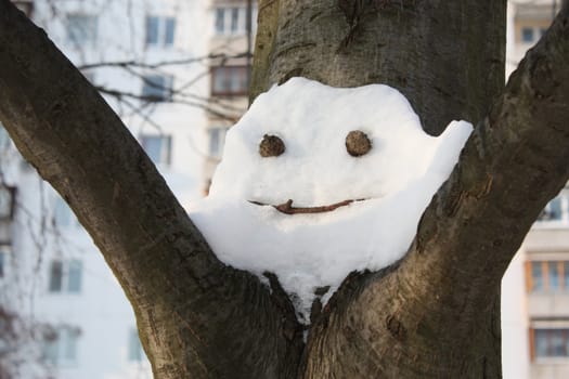 Snowy physiognomy on a tree