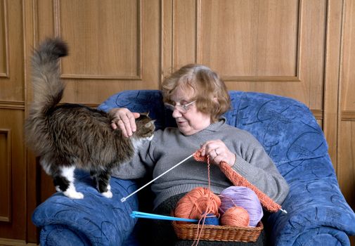 The old woman sits in an armchair and stroke a cat