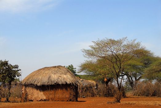 typical home of the Masai