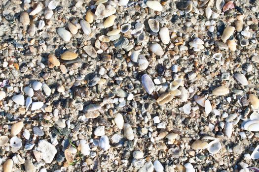 Close up of stones, sand and shells on  the beach. Ideal for backgrounds and compositions.