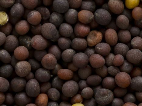 close up of black mustard seeds food background