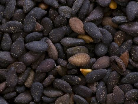 close up of black sesame seeds food backgrounds