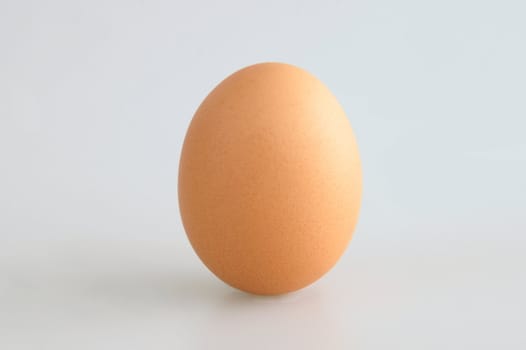 A single egg up