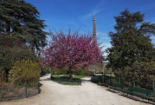 Image during the spring, of the Eiffel Tower from a beautiful park in the vicinity.