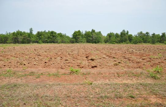  newly plowed field ready for new crops