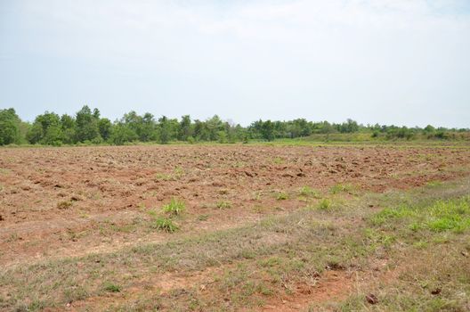  newly plowed field ready for new crops