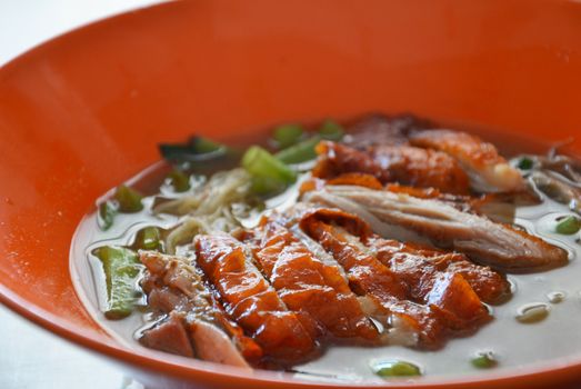 Duck noodle soup , asian style noodle 
