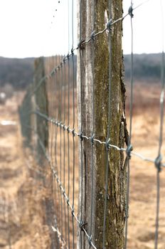 Wooden fence with metal net