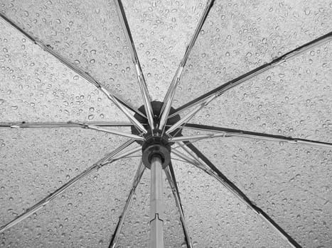 close up of umbrella covered with rain drops