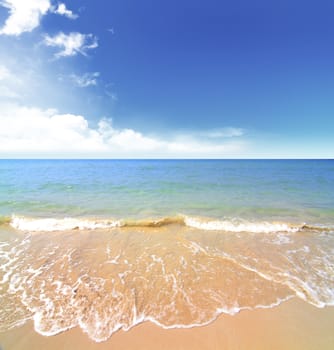 beach and tropical sea