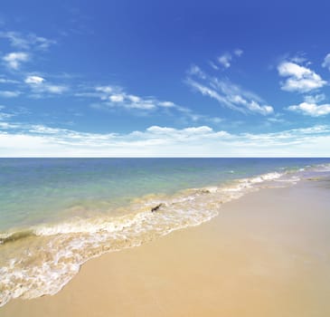 beach and tropical sea