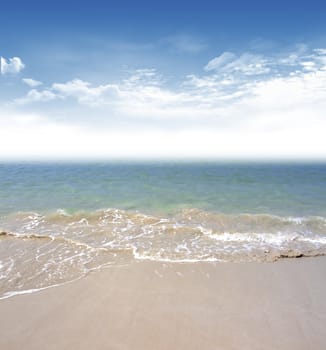 beach and tropical sea