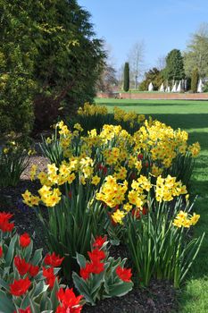 Red and yellow flower borders