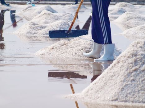 Farmer raking in the salt field in Thailand