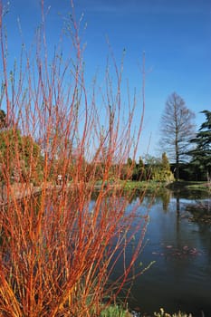 pond in formal garden