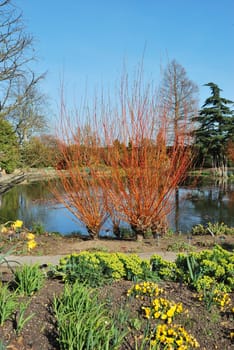 Formal english garden in sun