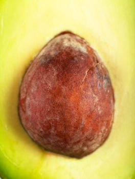 Macro view of core of fresh avocado