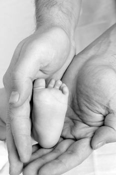 feet of the child in the hands of the father