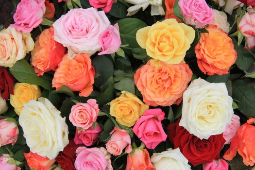 Mixed rose bouquet, big roses in bright colors