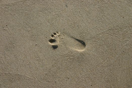 Trace on sand from a foot