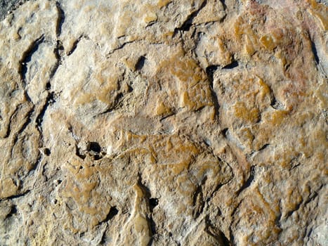 closeup on a section of rough brown stone