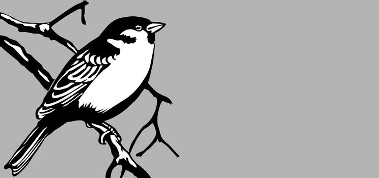 bird silhouette on gray background