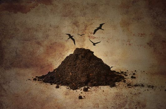 Pile of soil with birds flying over it.