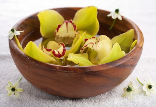 yellow orchids in bowl 