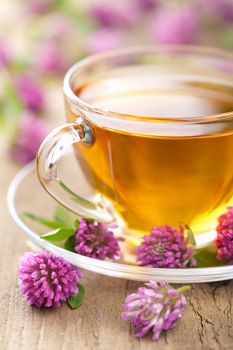 herbal tea and clover flowers 