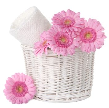 bath and spa set isolated