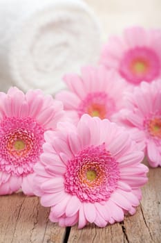 pink flowers and towel for spa