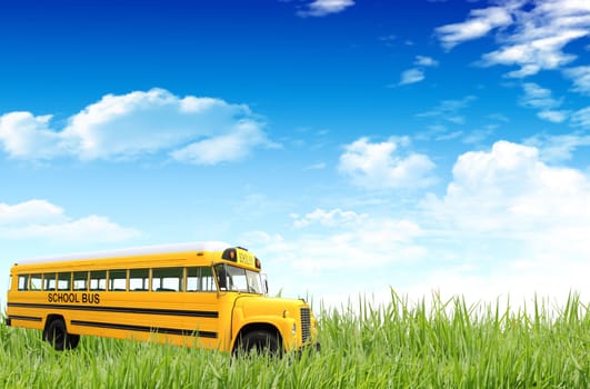 school bus on the grass field