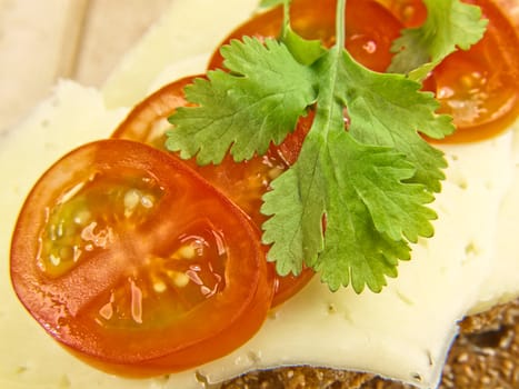 Cracker, tomato and cheese, close up