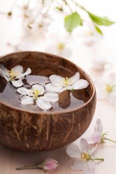 white flowers in bowl 