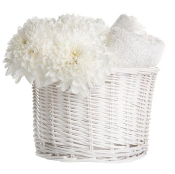 bath and spa set isolated
