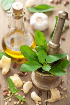 ingredients for pesto sauce