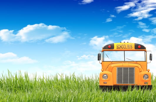 Green grass, blue sky and the school bus.