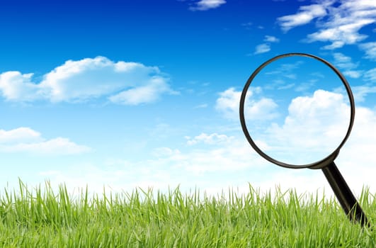 Magnifying glass on the grass.