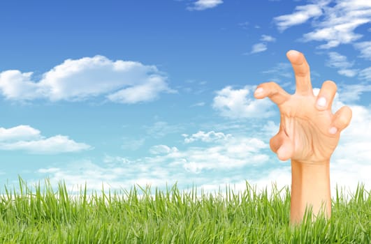 Green grass, blue sky and  hand