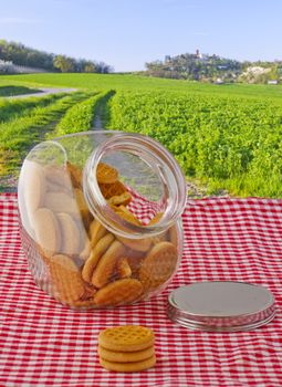 Glass vase of biscuits with landscape on the back